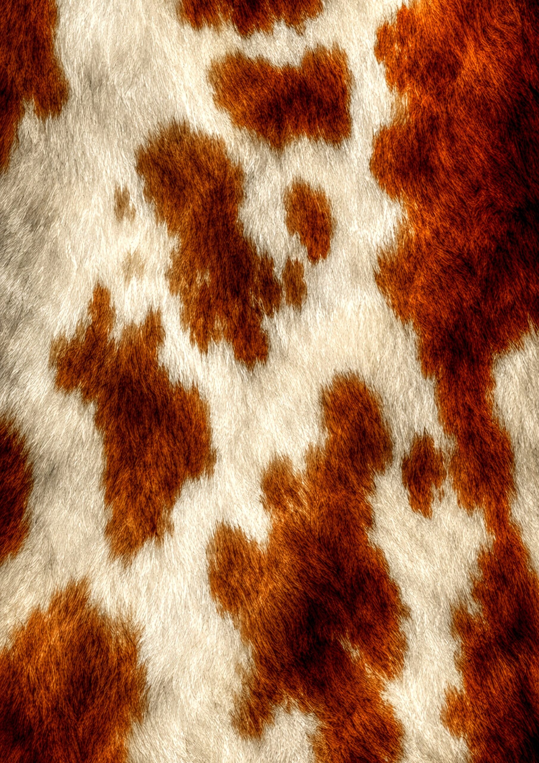 Grafika 4179