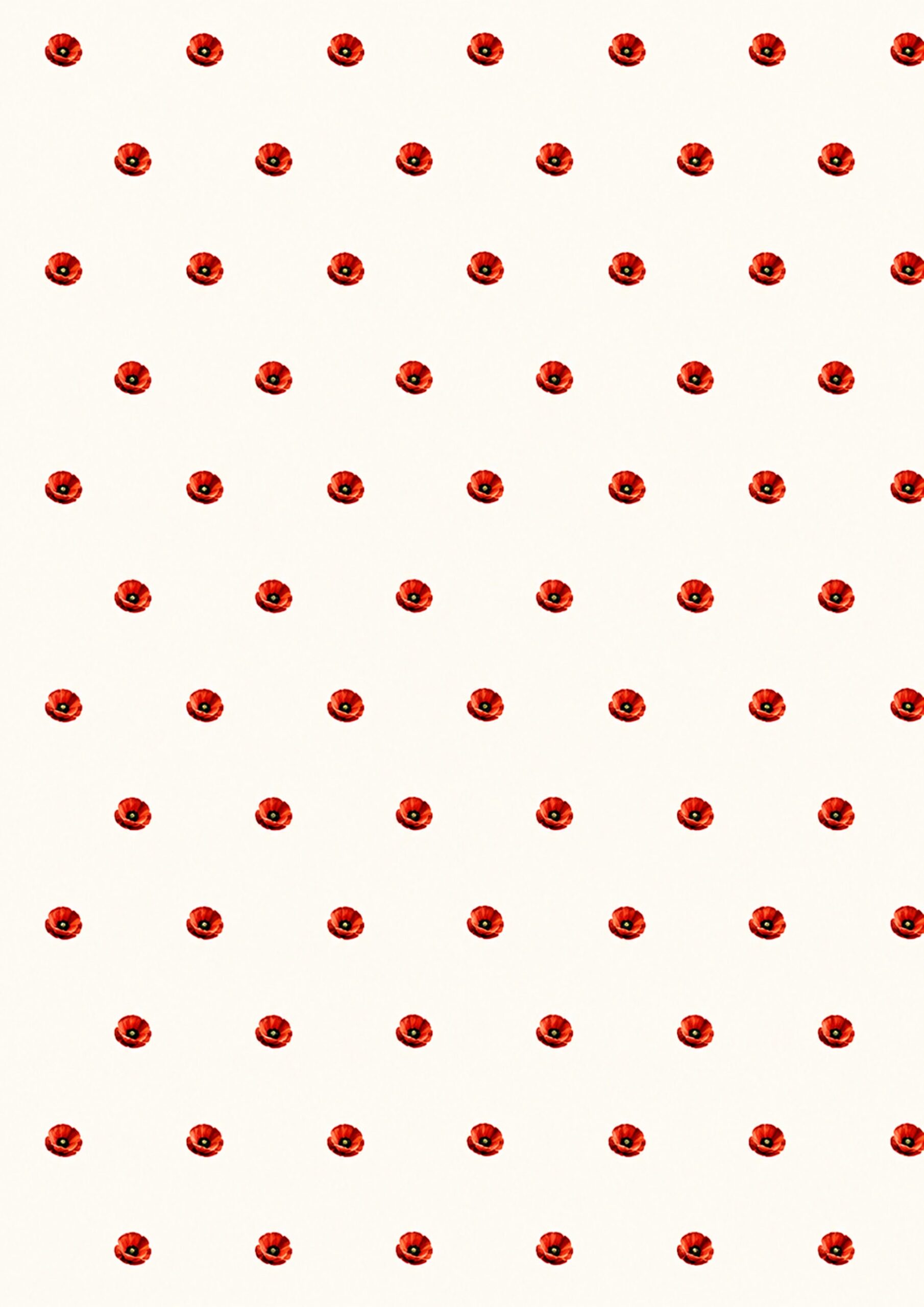 Grafika 4252