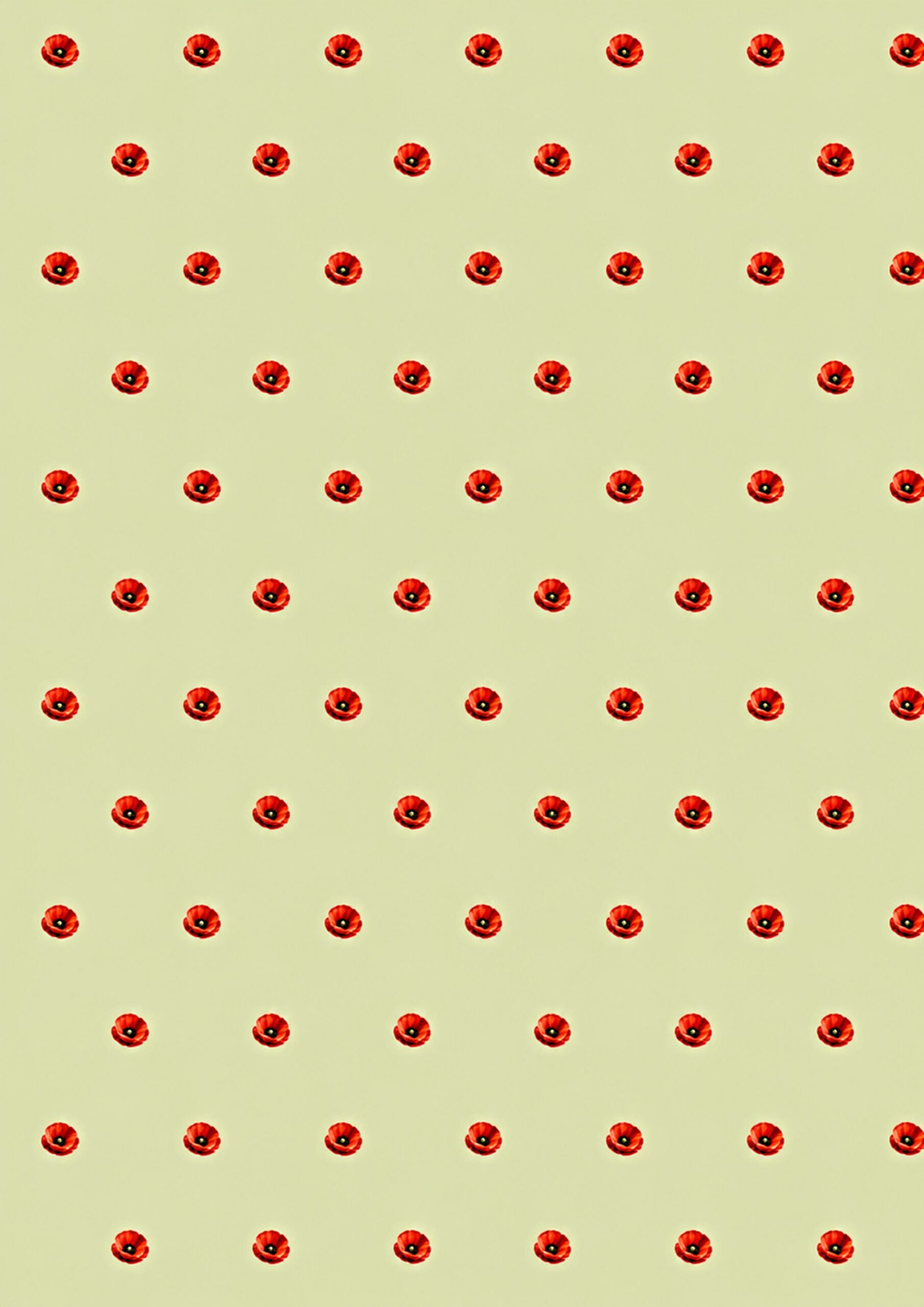 Grafika 4253